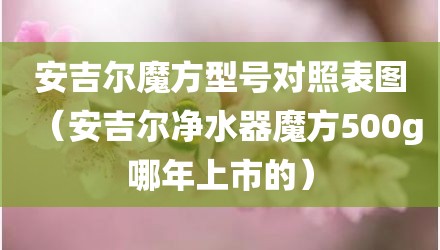 安吉尔魔方型号对照表图（安吉尔净水器魔方500g哪年上市的）