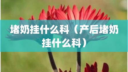 堵奶挂什么科(产后堵奶挂什么科)