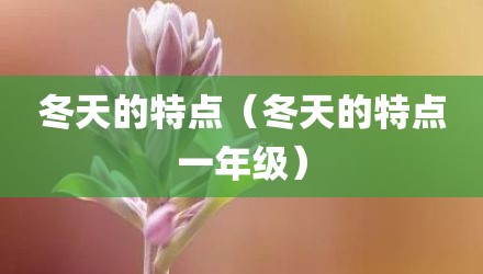 冬天的特点（冬天的特点一年级）