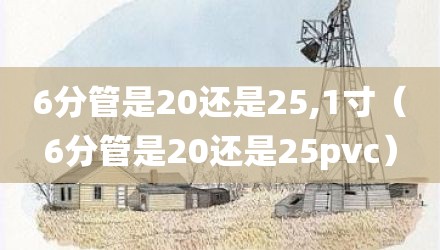 6分管是20还是25,1寸(6分管是20还是25pvc)