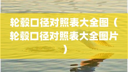 轮毂口径对照表大全图（轮毂口径对照表大全图片）