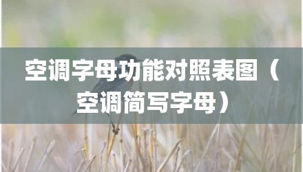 空调字母功能对照表图（空调简写字母）