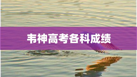 韦神高考各科成绩