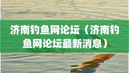 济南钓鱼网论坛（济南钓鱼网论坛最新消息）