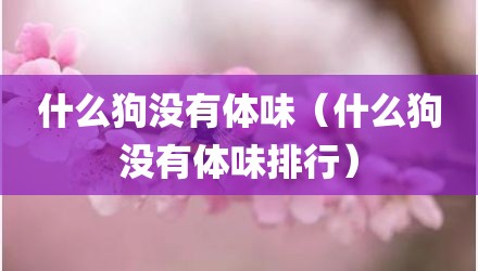 什么狗没有体味（什么狗没有体味排行）
