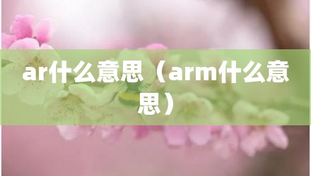 ar什么意思（arm什么意思）
