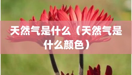 天然气是什么（天然气是什么颜色）