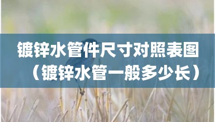 镀锌水管件尺寸对照表图（镀锌水管一般多少长）