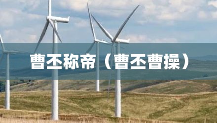 曹丕称帝（曹丕曹操）