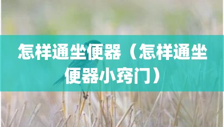 怎样通坐便器（怎样通坐便器小窍门）