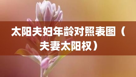 太阳夫妇年龄对照表图（夫妻太阳权）