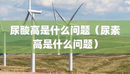 尿酸高是什么问题（尿素高是什么问题）