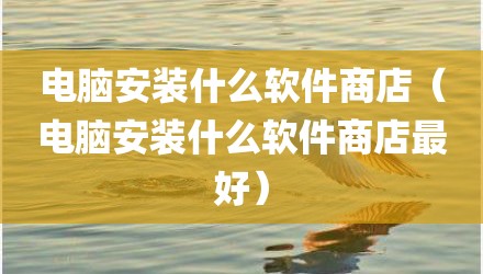 电脑安装什么软件商店（电脑安装什么软件商店最好）