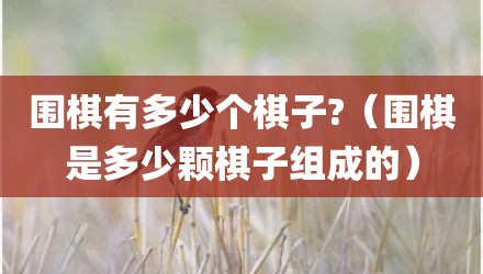围棋有多少个棋子?(围棋是多少颗棋子组成的)