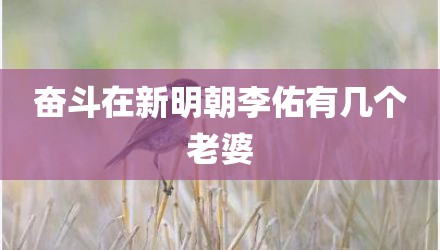 奋斗在新明朝李佑有几个老婆