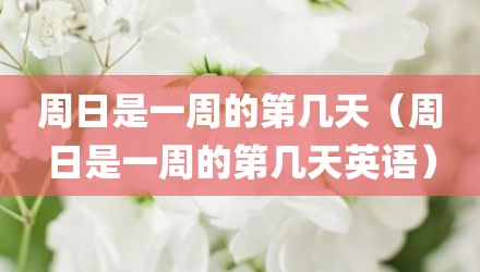 周日是一周的第几天（周日是一周的第几天英语）