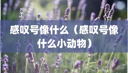 感叹号像什么（感叹号像什么小动物）