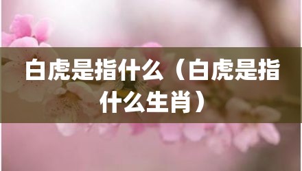 白虎是指什么（白虎是指什么生肖）