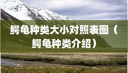 鳄龟种类大小对照表图（鳄龟种类介绍）