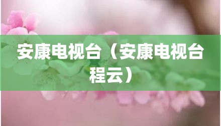 安康电视台（安康电视台程云）