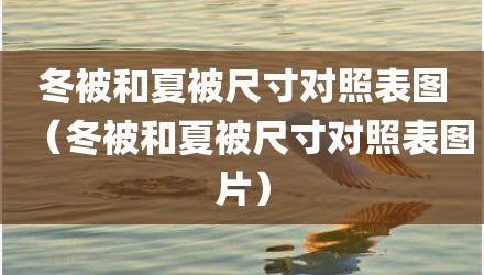 冬被和夏被尺寸对照表图（冬被和夏被尺寸对照表图片）