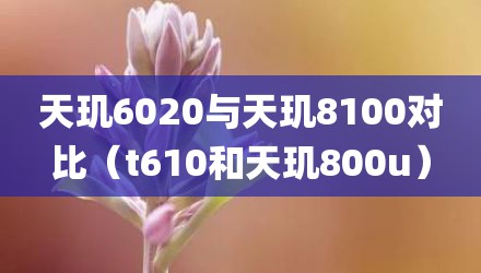天玑6020与天玑8100对比（t610和天玑800u）