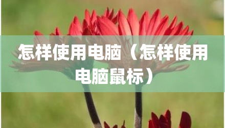 怎样使用电脑（怎样使用电脑鼠标）