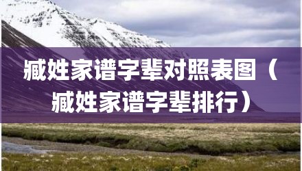 臧姓家谱字辈对照表图(臧姓家谱字辈排行)