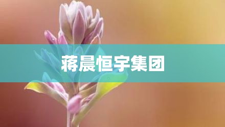 蒋晨恒宇集团
