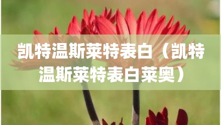凯特温斯莱特表白（凯特温斯莱特表白莱奥）