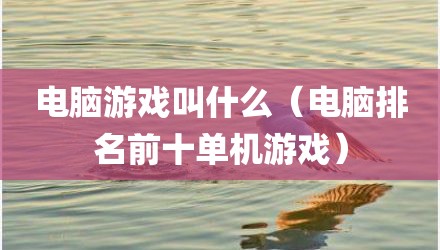 电脑游戏叫什么(电脑排名前十单机游戏)