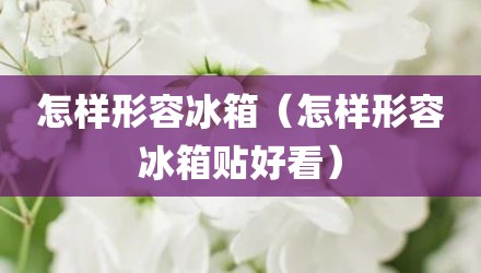 怎样形容冰箱（怎样形容冰箱贴好看）