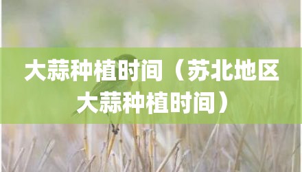 大蒜种植时间（苏北地区大蒜种植时间）