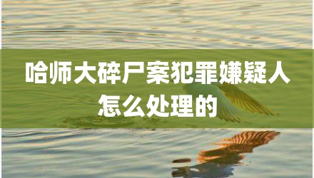 哈师大碎尸案犯罪嫌疑人怎么处理的