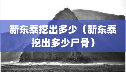 新东泰挖出多少（新东泰挖出多少尸骨）