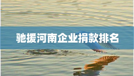 驰援河南企业捐款排名