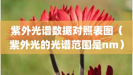 紫外光谱数据对照表图（紫外光的光谱范围是nm）
