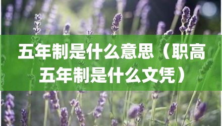 五年制是什么意思（职高五年制是什么文凭）