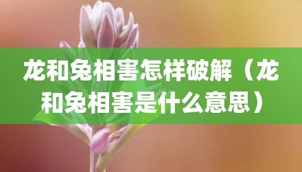 龙和兔相害怎样破解（龙和兔相害是什么意思）