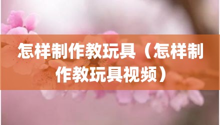 怎样制作教玩具（怎样制作教玩具视频）
