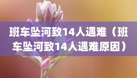 班车坠河致14人遇难（班车坠河致14人遇难原因）