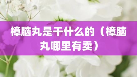 樟脑丸是干什么的（樟脑丸哪里有卖）