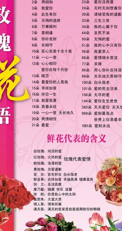 25朵玫瑰花语(二十五朵玫瑰花是什么意思？)