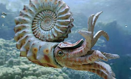 科学家发现5.5亿年前海底生物(三亿年前海底生物最厉害生物？)