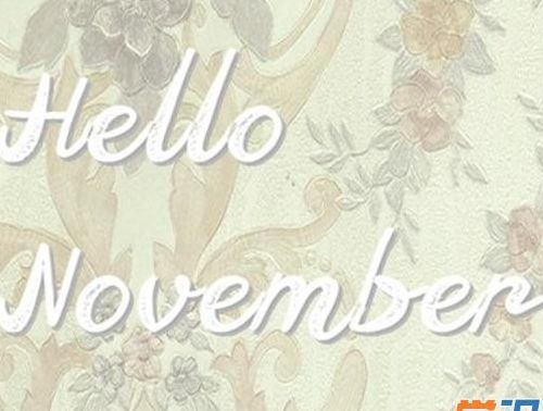 11月 英文(11月代表什么？)