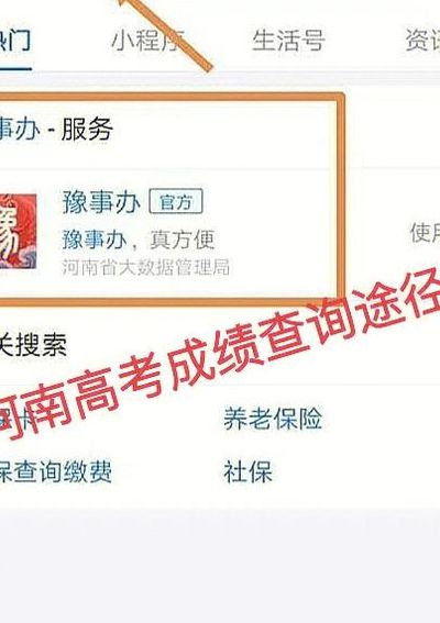 河南移动社会渠道业务管理服务平台(河南移动社会渠道业务管理服务平台无法登陆？)