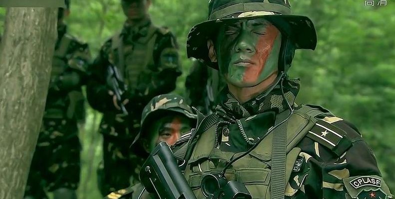 特种部队演员表(13部特种兵的电视剧？)