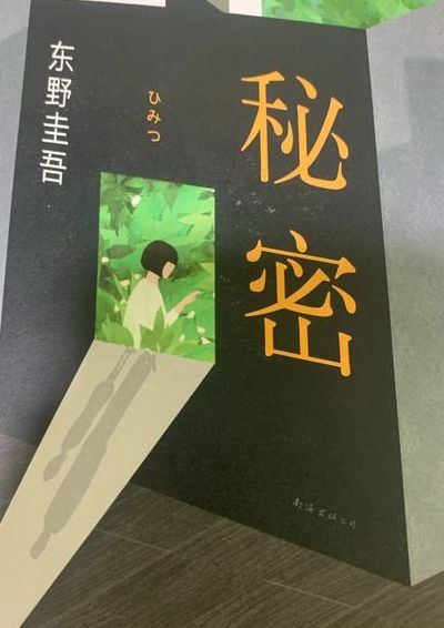 小巡的秘密(书法家的秘密12个字？)