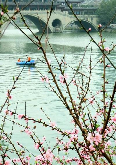 鸭头春水浓如(鸭头春水浓如染，水面桃花弄春脸是什么意思？)