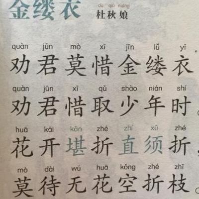金缕衣杜秋娘(金缕衣古诗其一？)